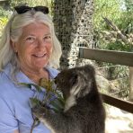  Bingo Koala, Gorge Wildlife Park South Australia.7